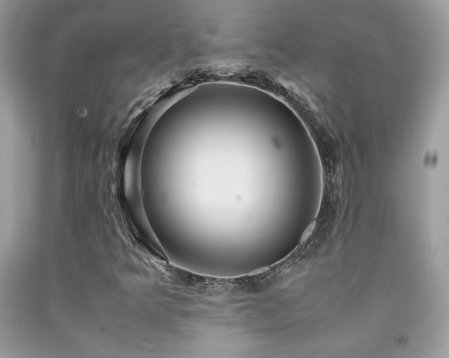X0000091981349200709061345
