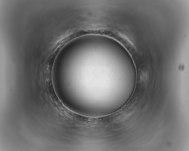 X0000091981350200709061345