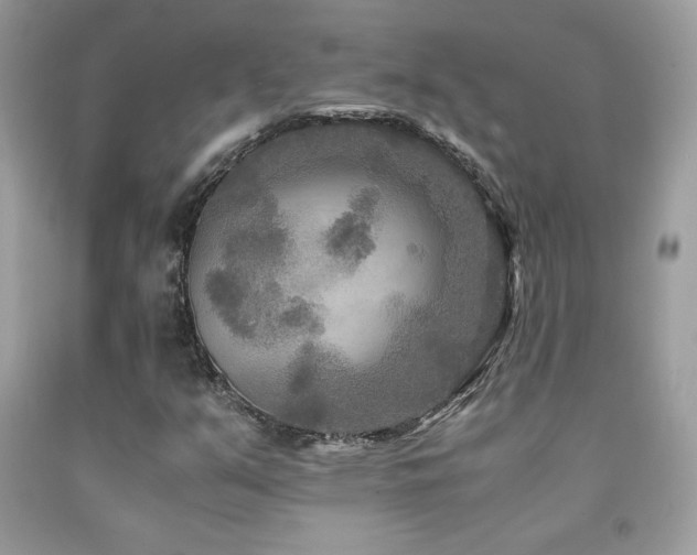X0000091981351200709061345