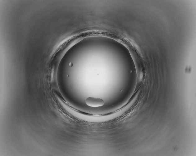 X0000091981352200709061345