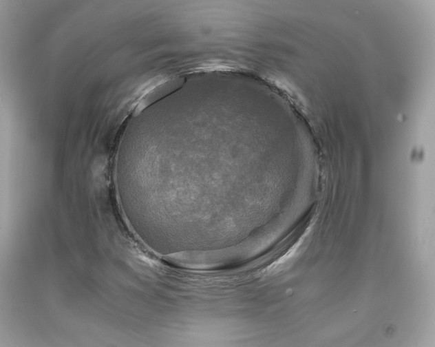 X0000091981353200709061345