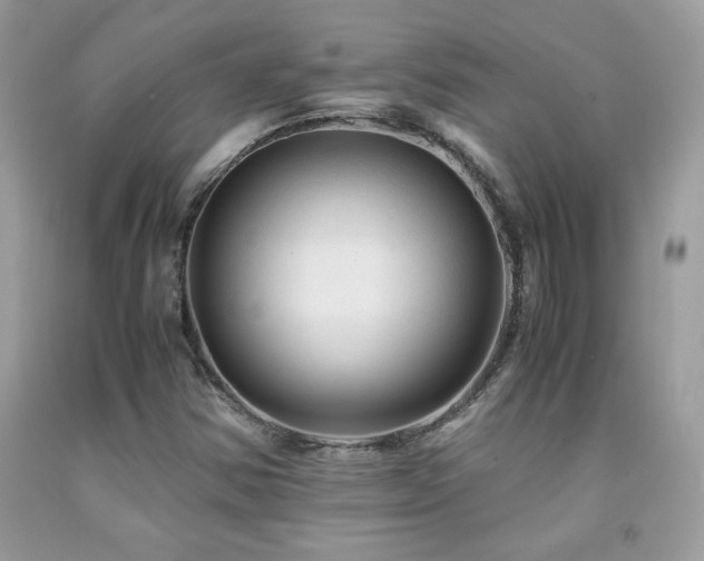 X0000091981354200709061345