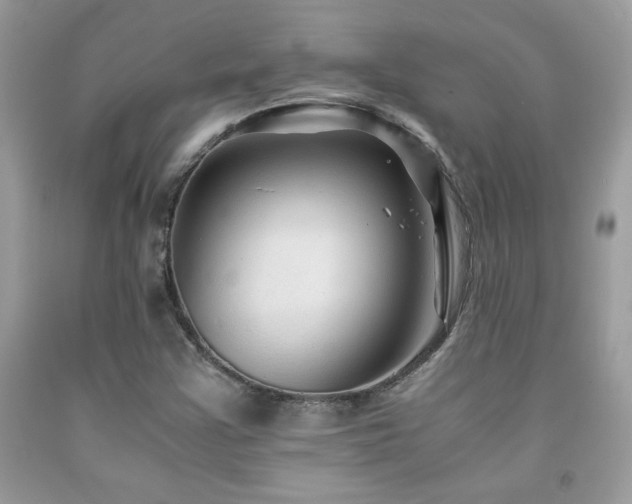 X0000091981355200709061345