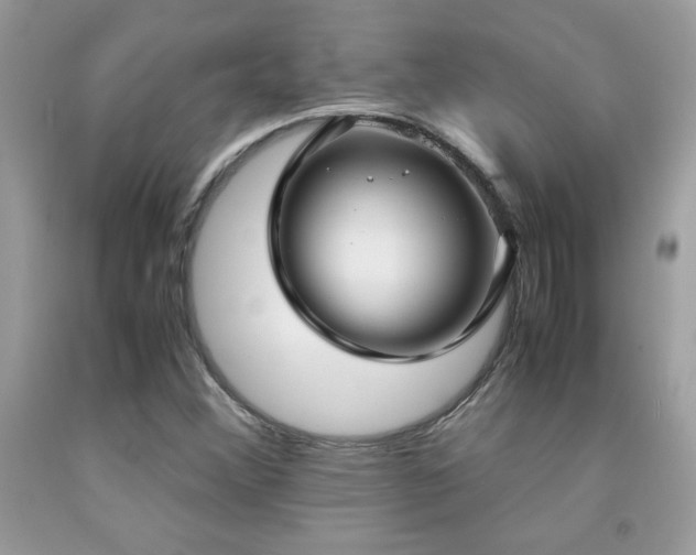 X0000091981356200709061345