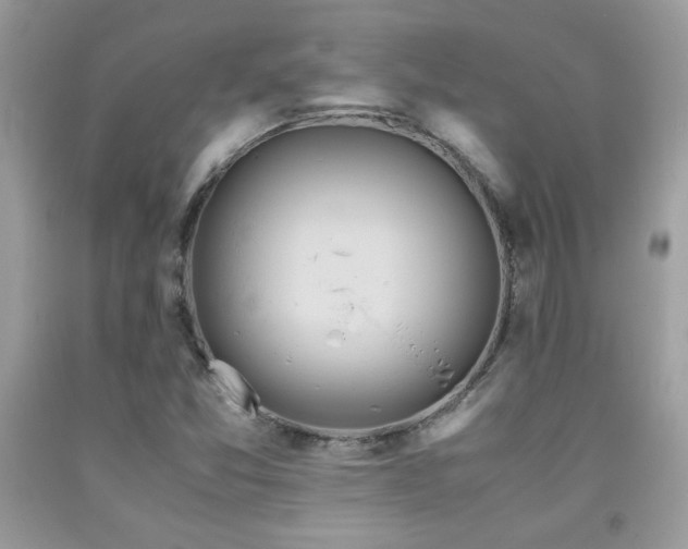 X0000091981357200709061345
