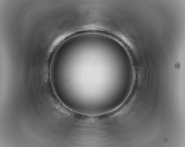 X0000091981358200709061345