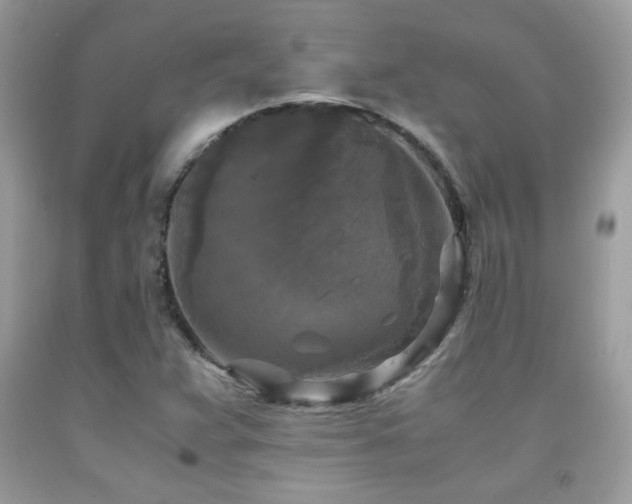 X0000091981359200709061345