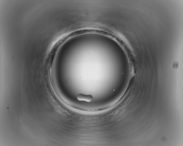 X0000091981360200709061345