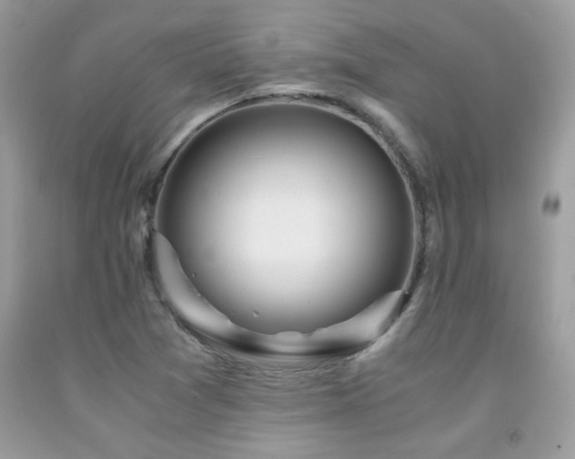 X0000091981361200709061345