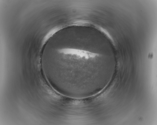 X0000091981362200709061345