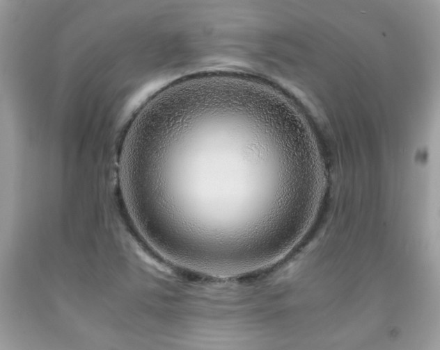 X0000091981363200709061345