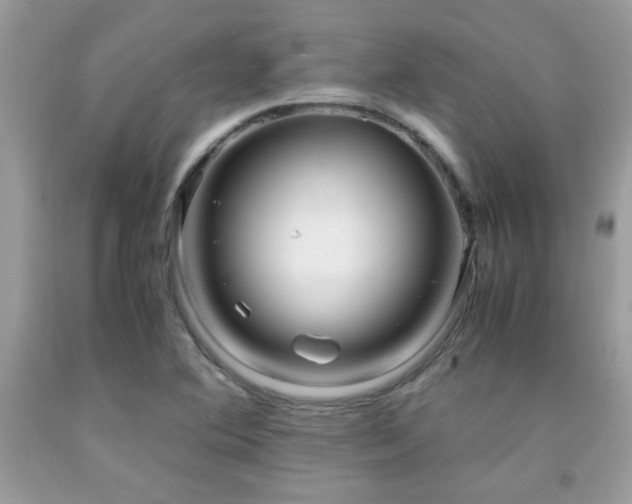 X0000091981364200709061345