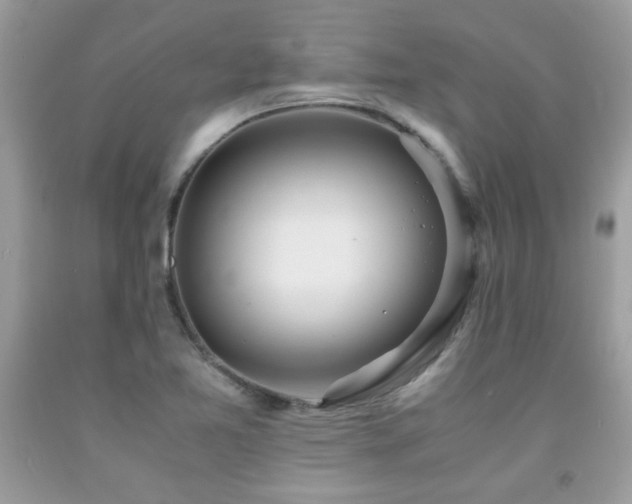 X0000091981365200709061345