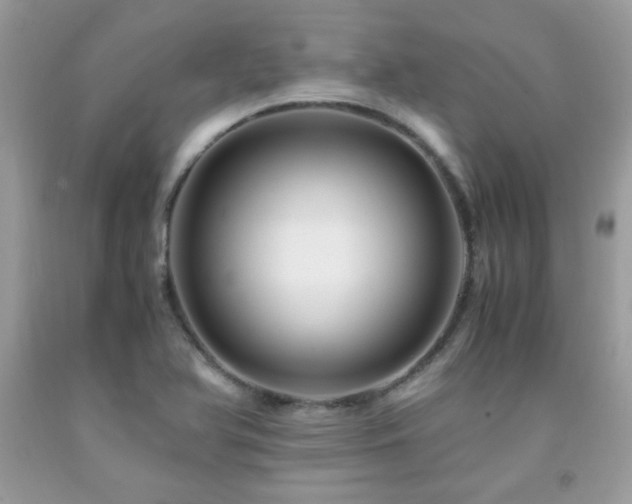 X0000091981366200709061345
