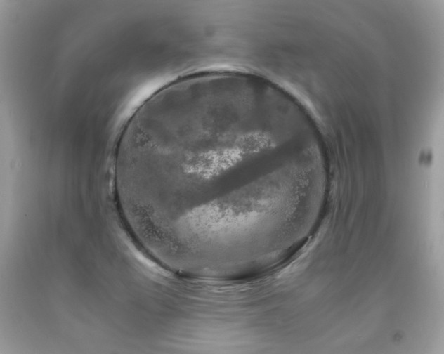 X0000091981367200709061345