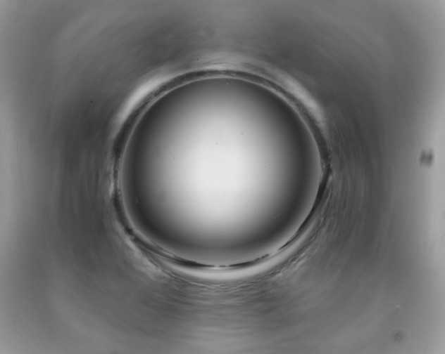 X0000091981368200709061345