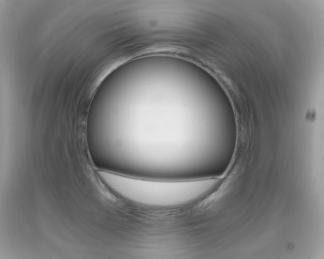 X0000091981369200709061345