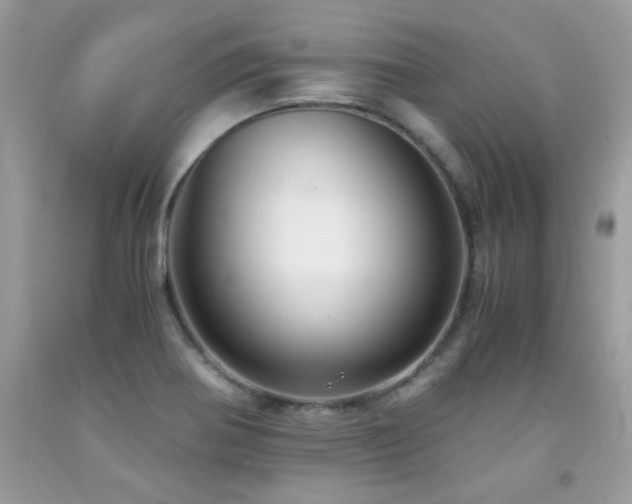 X0000091981370200709061345