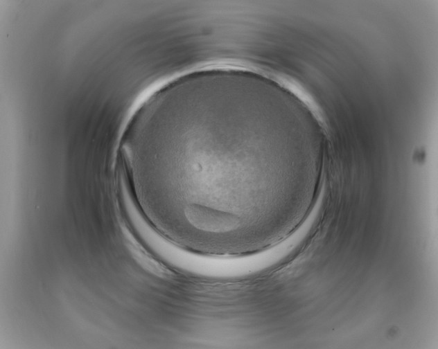 X0000091981372200709061345