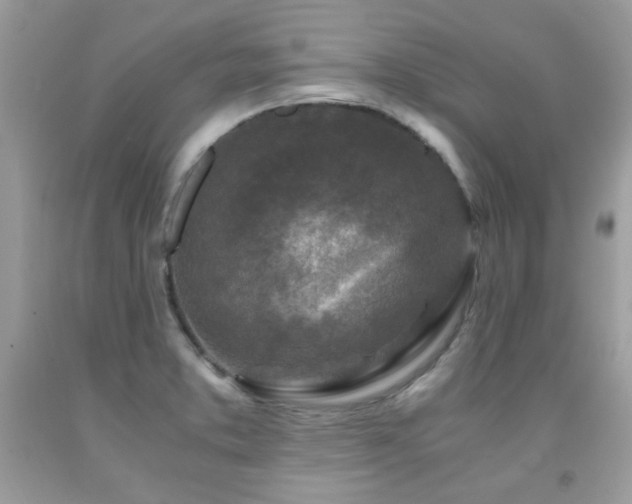 X0000091981373200709061345