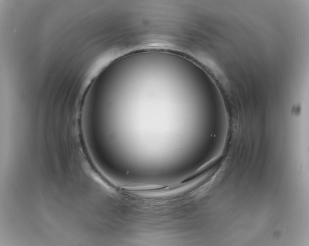 X0000091981374200709061345