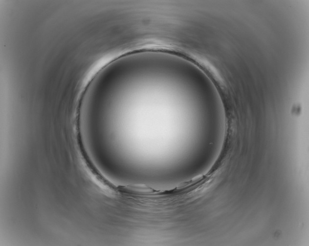 X0000091981375200709061345