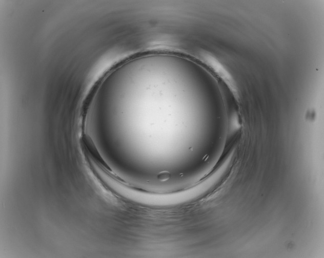 X0000091981376200709061345
