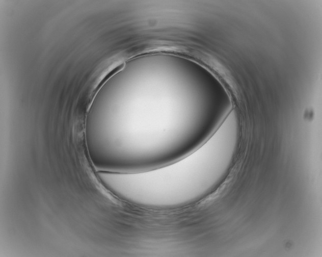 X0000091981377200709061345