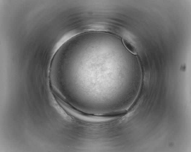 X0000091981378200709061345