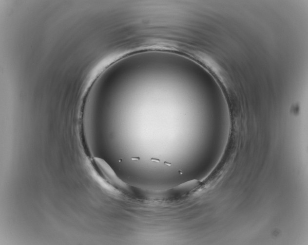 X0000091981379200709061345