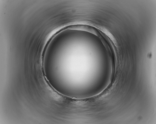 X0000091981380200709061345
