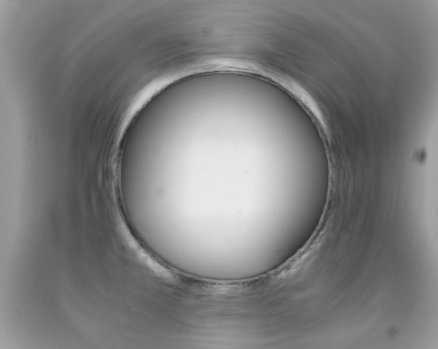 X0000091981381200709061345