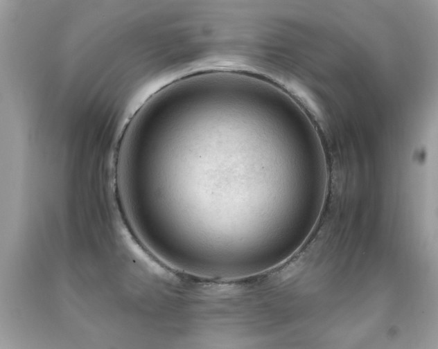 X0000091981382200709061345