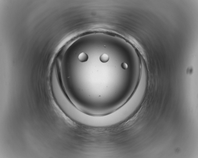 X0000091981384200709061344
