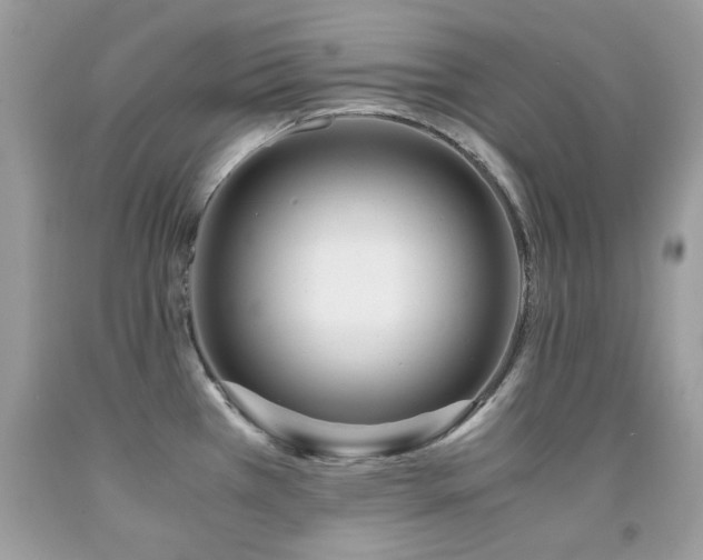 X0000091981385200709061344