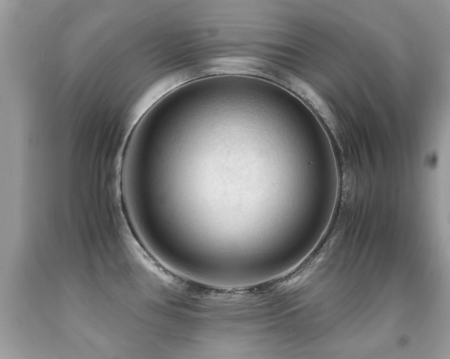 X0000091981386200709061344