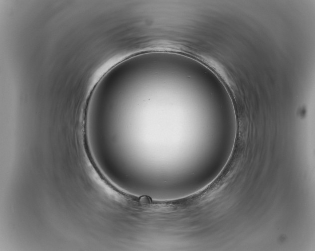 X0000091981387200709061344
