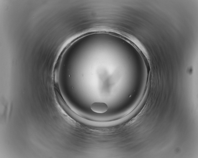 X0000091981388200709061344