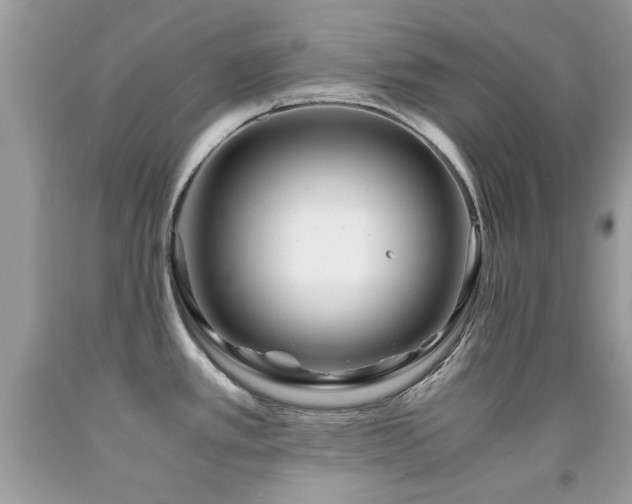 X0000091981389200709061344