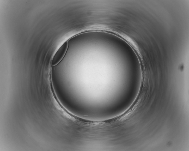 X0000091981390200709061344