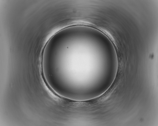 X0000091981391200709061344