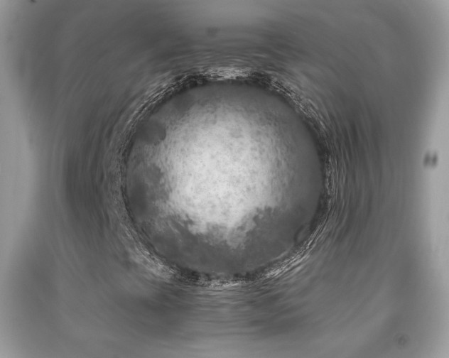X0000091981393200709061344
