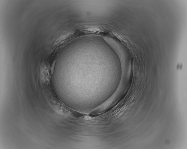 X0000091981394200709061344