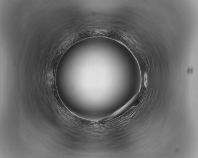 X0000091981395200709061344
