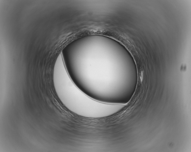 X0000091981396200709061344