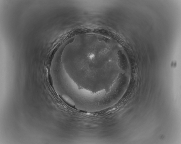 X0000091981397200709061344