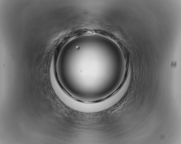 X0000091981398200709061344