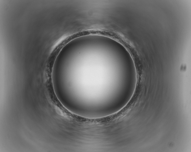 X0000091981400200709061344