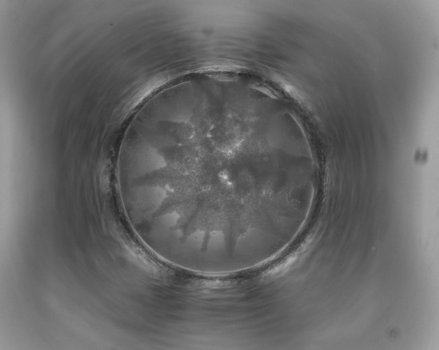 X0000091981401200709061344