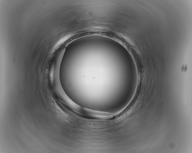 X0000091981402200709061344